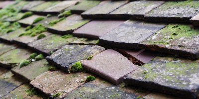 Nantgaredig roof repair costs
